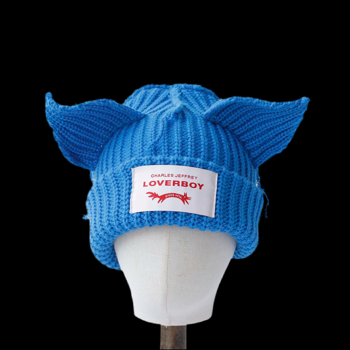 Cat ear beanie